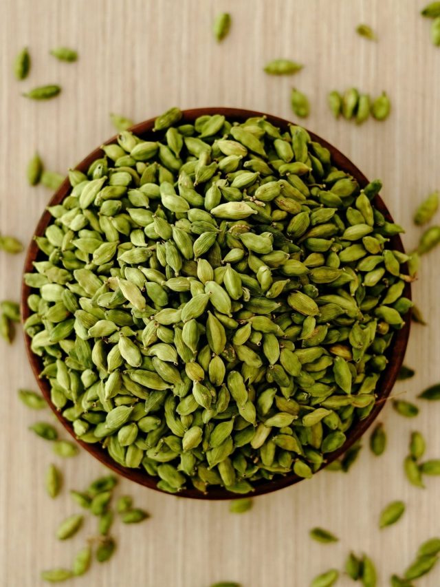 বাড়ির পুরনো বালতিতে করুন 'লক্ষ টাকার' এলাচ চাষ, শুধু শিখে নিন সহজ পদ্ধতি