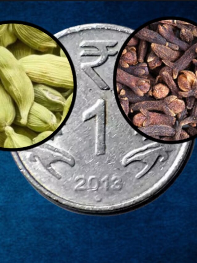 লবঙ্গ-এলাচের সঙ্গে এক টাকার কয়েন, আয় বাড়ানোর তন্ত্র টোটকা