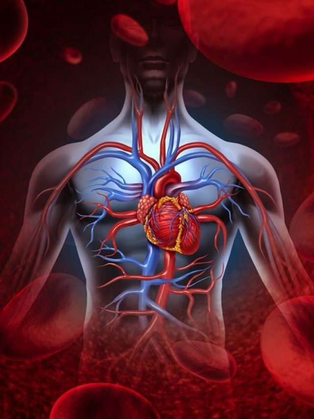 এনার্জিতে ভরিয়ে দেবে, এই ৭ জিনিস রক্ত ​​সঞ্চালন বাড়াবে শরীরে