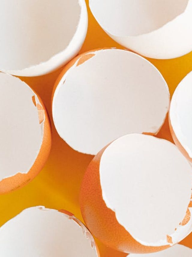 ফেলে না দিয়ে ডিমের খোলায় মাজুন বাসন, ঝকঝক করবে