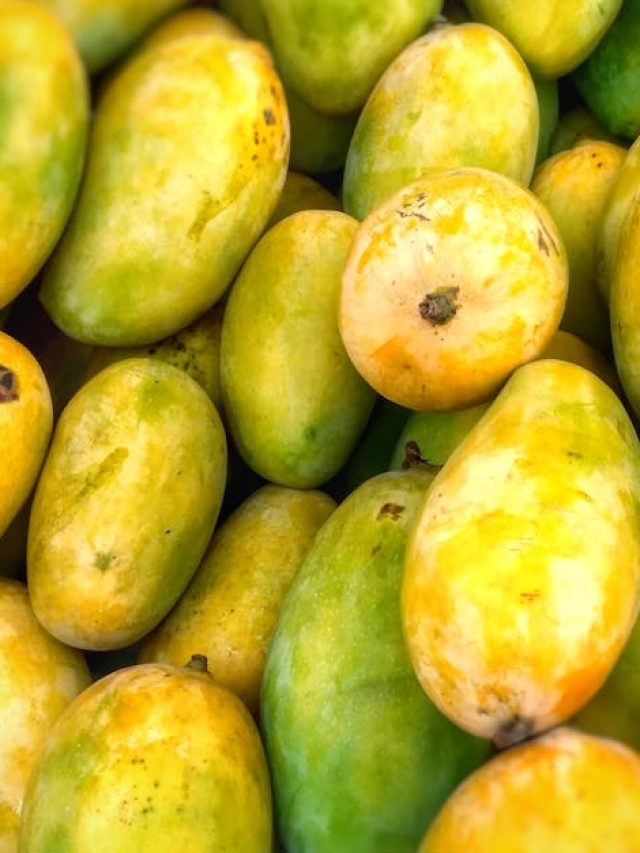 নষ্ট হবে না, এভাবে আম স্টোর করলে সতেজ থাকবে দীর্ঘদিন; দারুণ টিপস