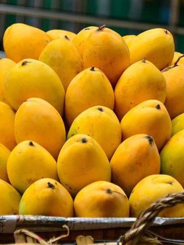 হিমসাগর চেনার ৫ টিপস দিলেন ফল কাকু, কেউ ঠকাতে পারবে না!