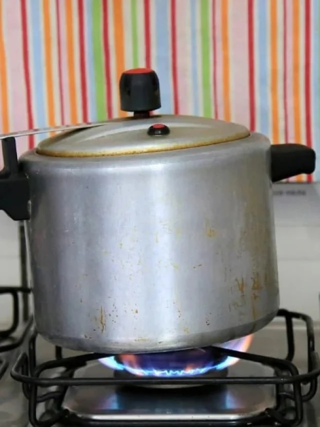 সময় বাঁচবে, স্বাস্থ্য নয়; বাঁচতে হলে ৪ খাবার কুকারে রাঁধবেন না