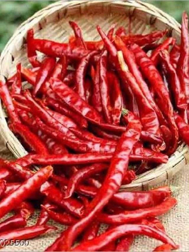 রুমালে বেঁধে নিন ৭টি শুকনো লঙ্কা, চুম্বকের মতো টাকা টানবে ঘরে