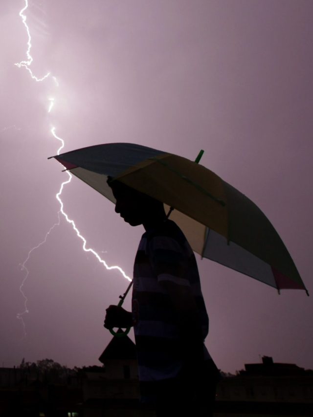 বাড়ির আশেপাশে এই গাছ থাকলেই বাজ পড়ে অগ্নিকাণ্ড ঘটতে পারে, এখনই সরান