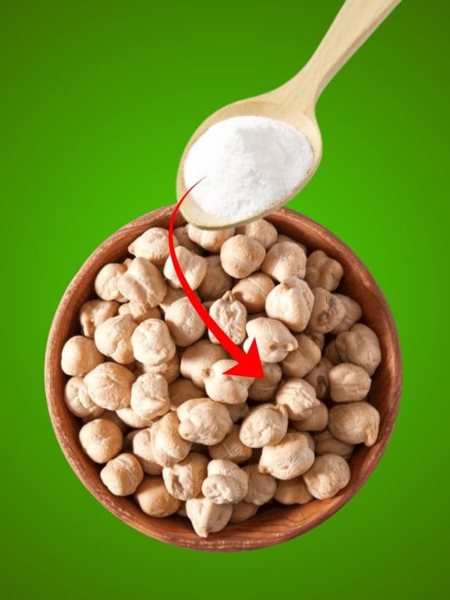 কাবলি ছোলা দ্রুত সেদ্ধ করতে দিন এই একটি জিনিস