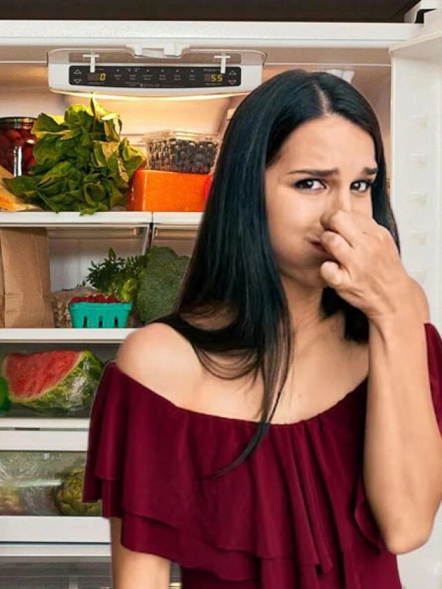 ৫ মিনিটেই ঝকঝকে হবে ফ্রিজ, কীভাবে পরিস্কার করবেন?