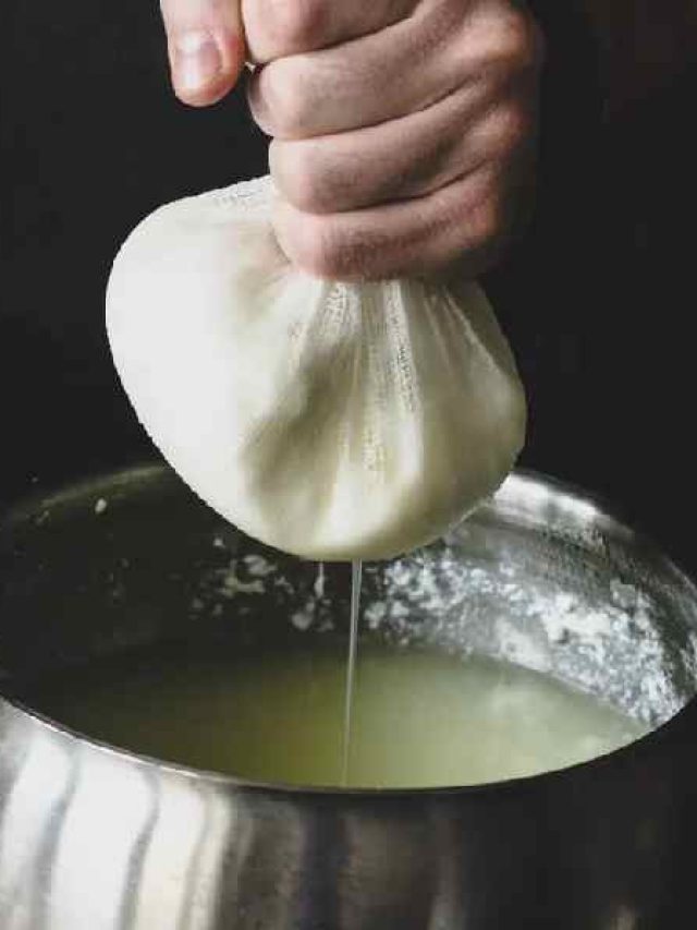 রোজ এক কাপ ছানার জল, ব্যস জীবনে ৫ খেলা শুরু