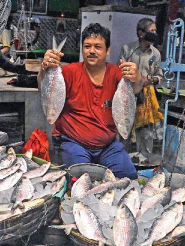 দেখেই বুঝবেন ইলিশে স্বাদ হবে কী না, জানুন আড়তদারের টিপস
