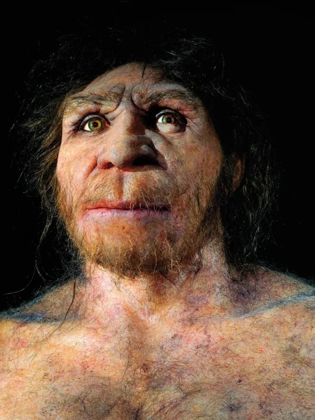 'Only 1280 survived': Humans lost 99% of the population 900,000 years ago