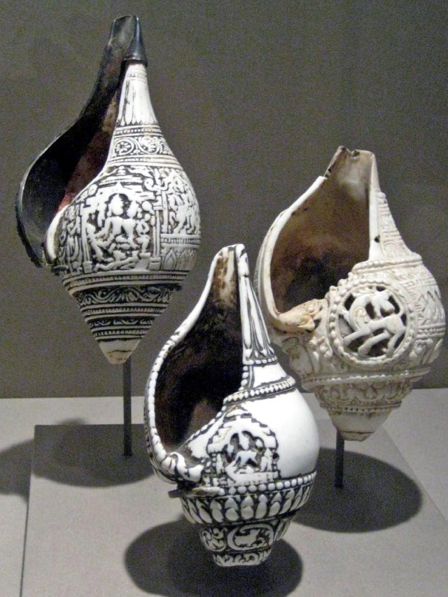 দীপাবলিতে বাড়িতে আনুন শঙ্খ! দেবী লক্ষ্মীর আশীর্বাদ নিশ্চিত