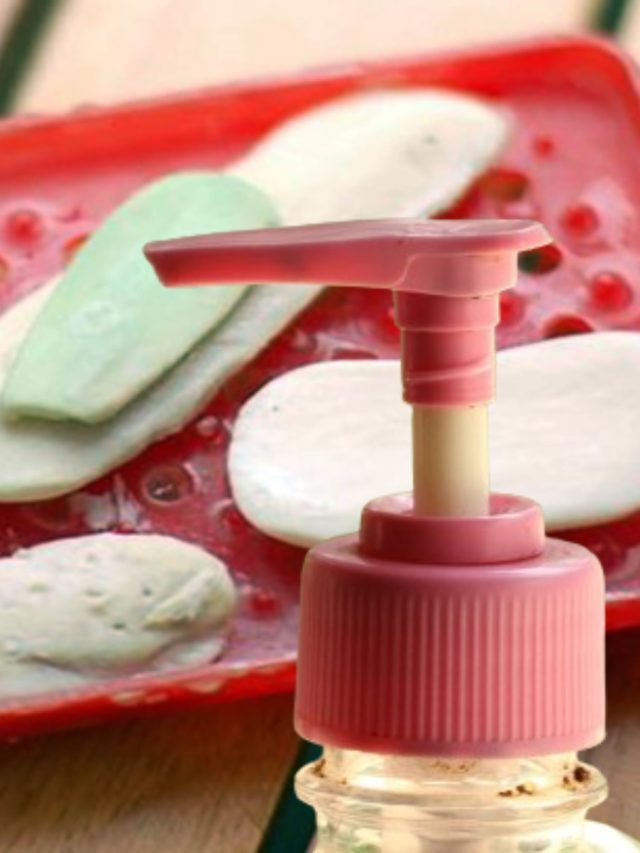 সাবানের ফেলে দেওয়া টুকরো দিয়ে হবে হ্যান্ডওয়াশ, বাড়িতেই বানিয়ে নিন