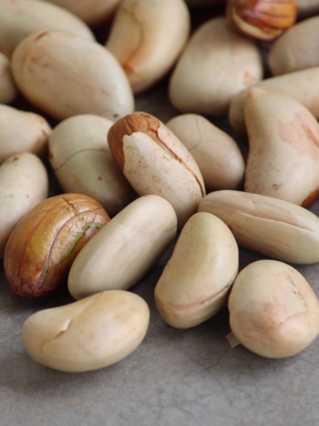 কাঁঠাল বীজের খোসা ছাড়ান বিনা নখ ব্যবহারে, ট্রিকসটা শিখে নিন