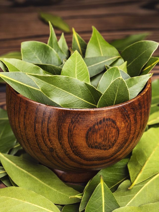 সস্তার এই পাতার তেজেই মিলবে প্রখর স্মৃতিশক্তি, রোজ খান এভাবে