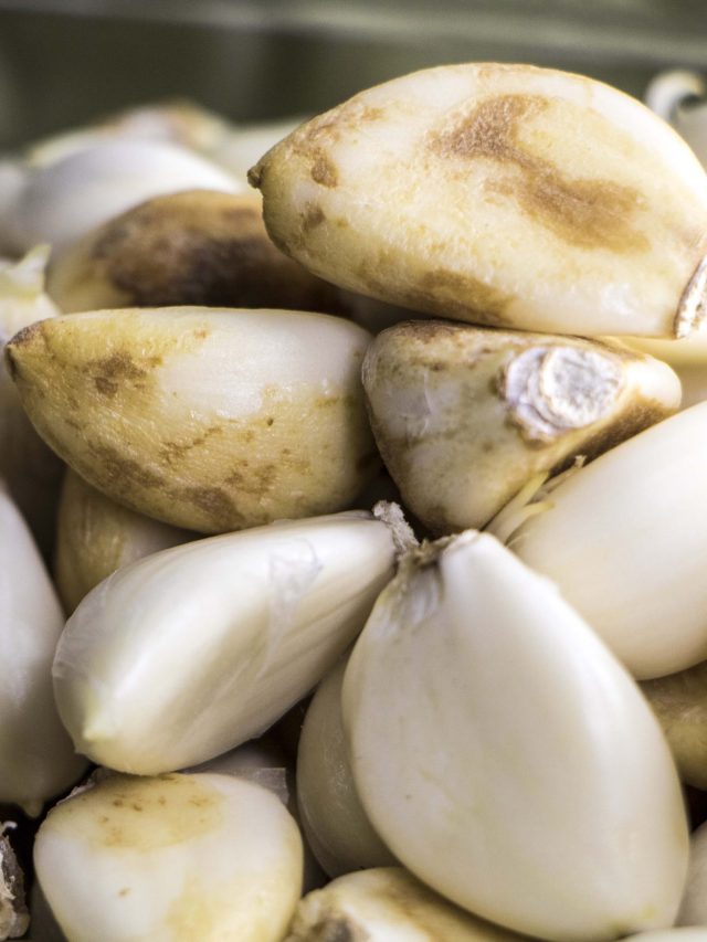 ৬ মাস স্টোর করুন আদা-রসুন, একটিও পচবে না; ট্রিক শিখুন