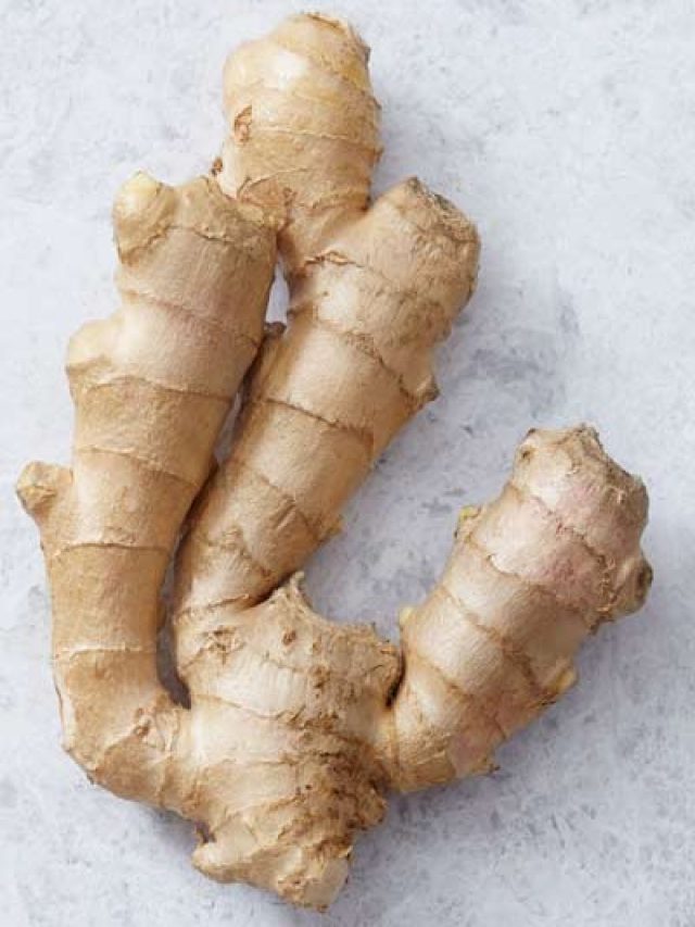 বাড়িতে বস্তাতেই হবে কিলো কিলো আদা, রোজ রোজ কিনতে হবে না