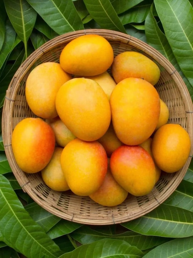 কীভাবে আম-তরমুজ-লিচু নিবেচন করবেন ঈশ্বরকে? অনেকেই জানেন না