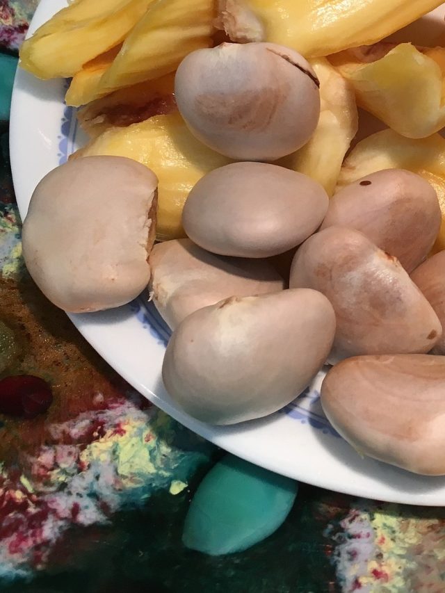 কাঁঠাল বীজের খোসা ছাড়ান এই সহজ কায়দায়, হাত লাগাতে হবে না