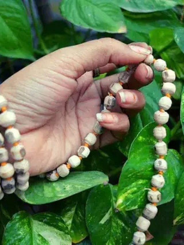 ঠিক কোন সময় গুরুমন্ত্র বা দীক্ষা নেওয়া উচিত?