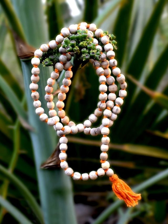 তুলসীর মালা কাদের অবশ্যই পরা উচিত?