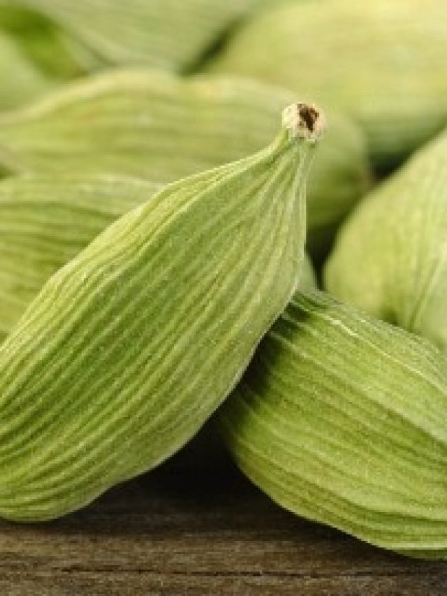 হাতের মুঠোয় রেখে দিন ৫টি এলাচ,  পাবেন পরম সুখ