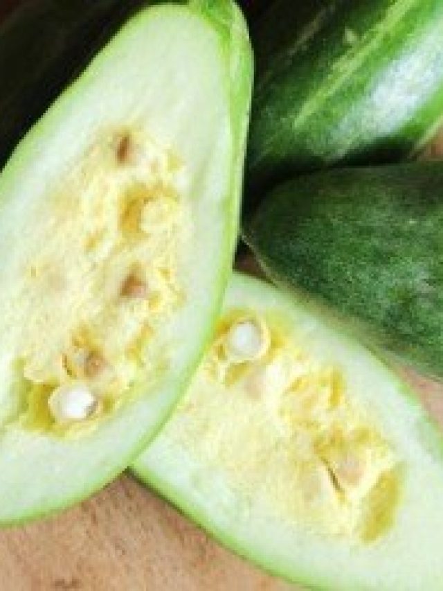 পটলের বীজ থেঁতলে মেশান জলে, শরীরে বইবে ঝোড়ো হাওয়া