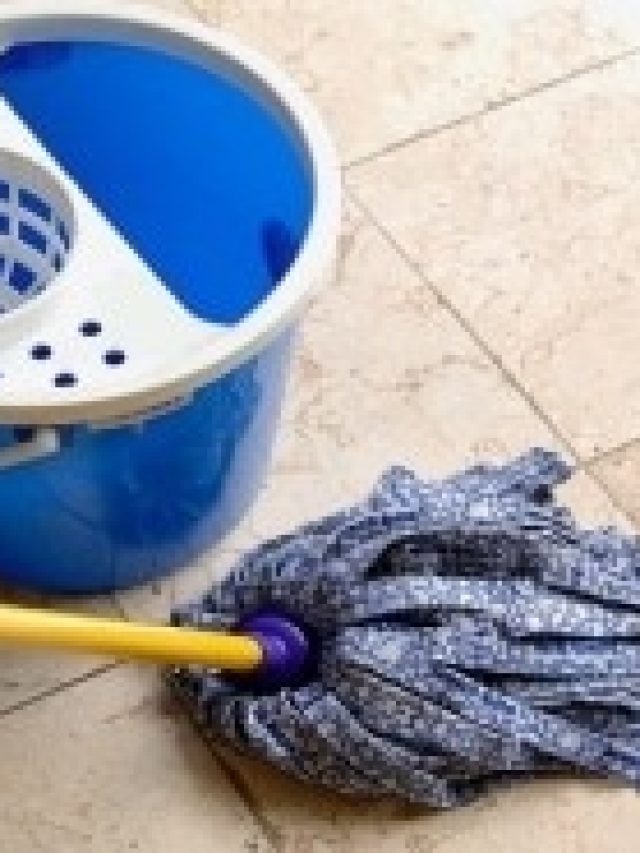 ঘর মোছার জলে ফেলুন এই মশলা,  ফুলে ফেঁপে উঠবে সংসার