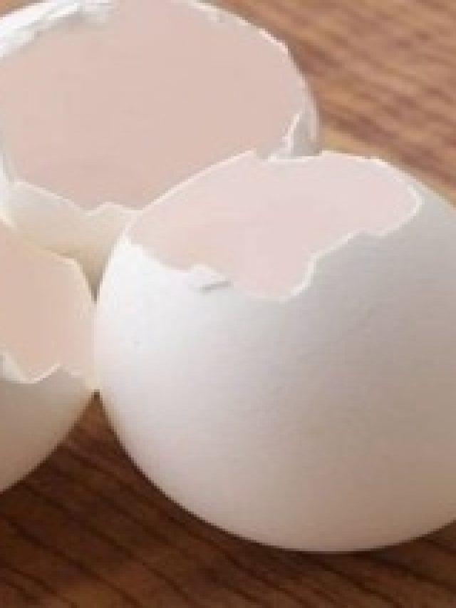 ডিম খেতে গিয়ে খোসা খেয়ে ফেলেন? কী হয় জানুন