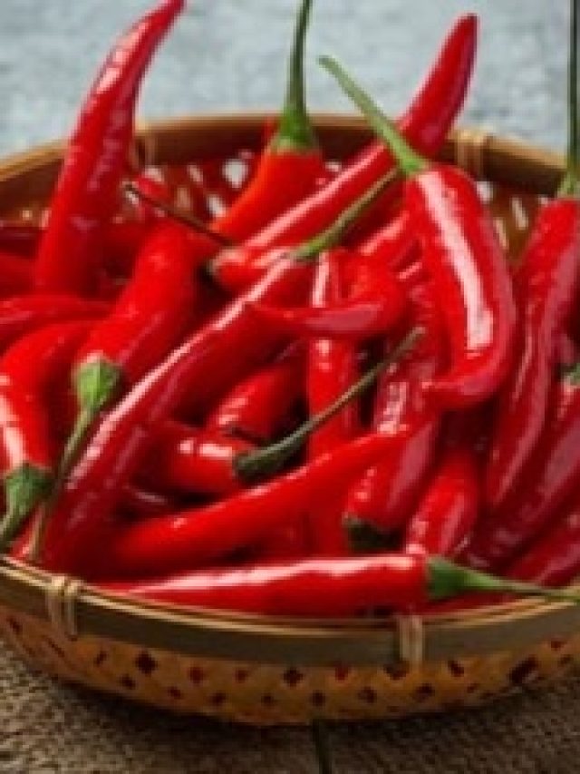 রোজ শুকনো লঙ্কা খান? পেটে বাসা বাঁধবে এসব রোগ