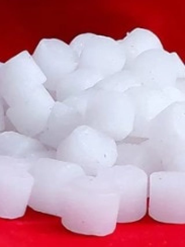 পকেটে এক টুকরো কর্পূর রেখে দিন, খেলা শুরু যৌবনের