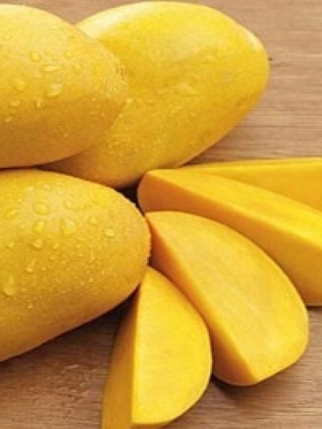 আম খেলে কি আমাশা হয়? যা জানা জরুরি