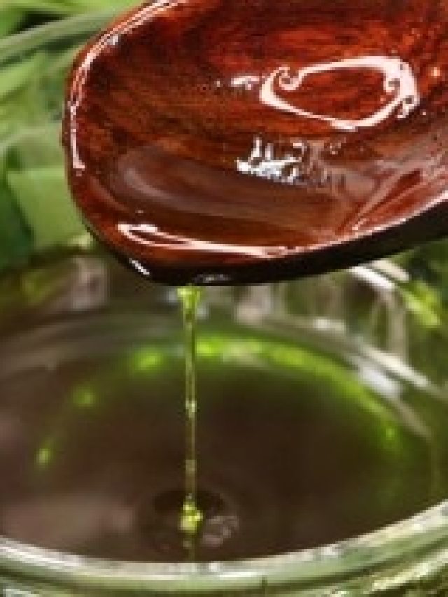 পাকা চুল হবে মিশমিশে কালো, শুধু মাখুন এই পাতার তেল