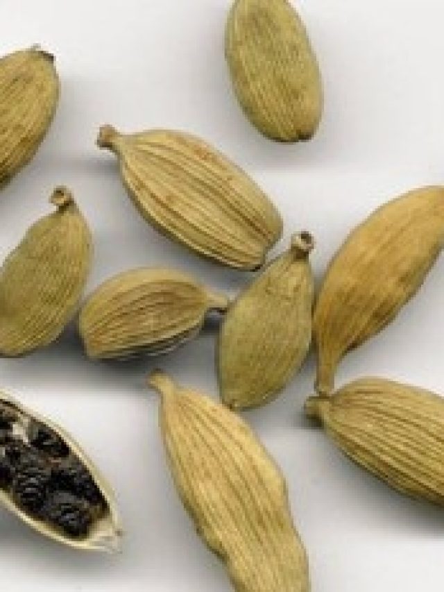 পকেটে রেখে দিন এলাচ, শুরু হয়ে যাবে খেলা