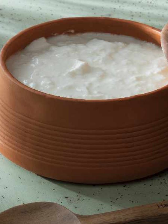 ঘরে পাতা টক দই পাতলা! ঠাকুমার দেওয়া টোটকায় টাইট জমাট হবে