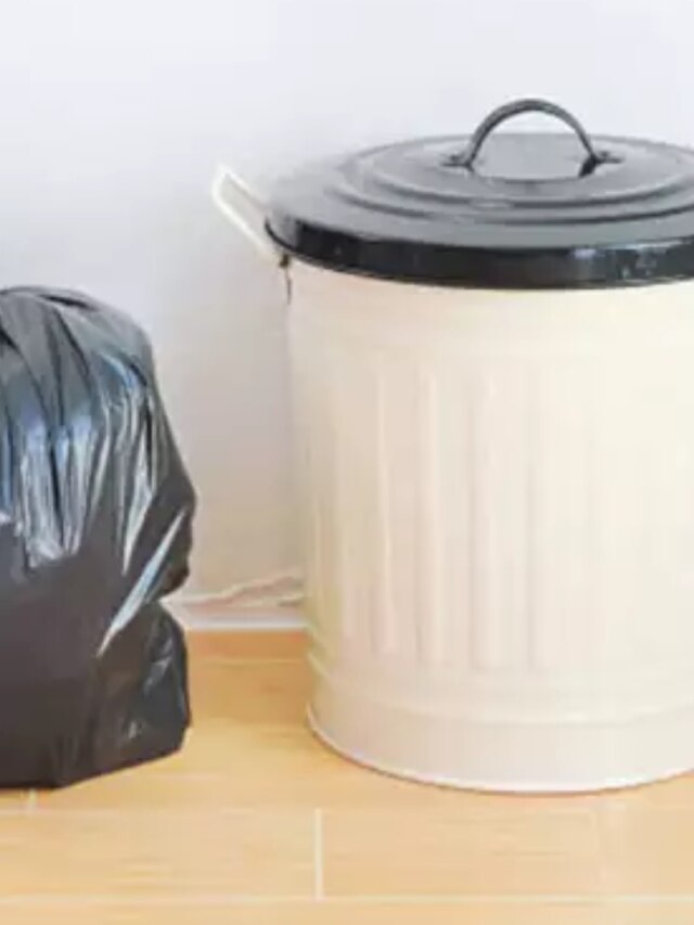 বাড়ির এই জায়গাগুলিতে ডাস্টবিন রাখছেন বলেই আয় বাড়ছে না