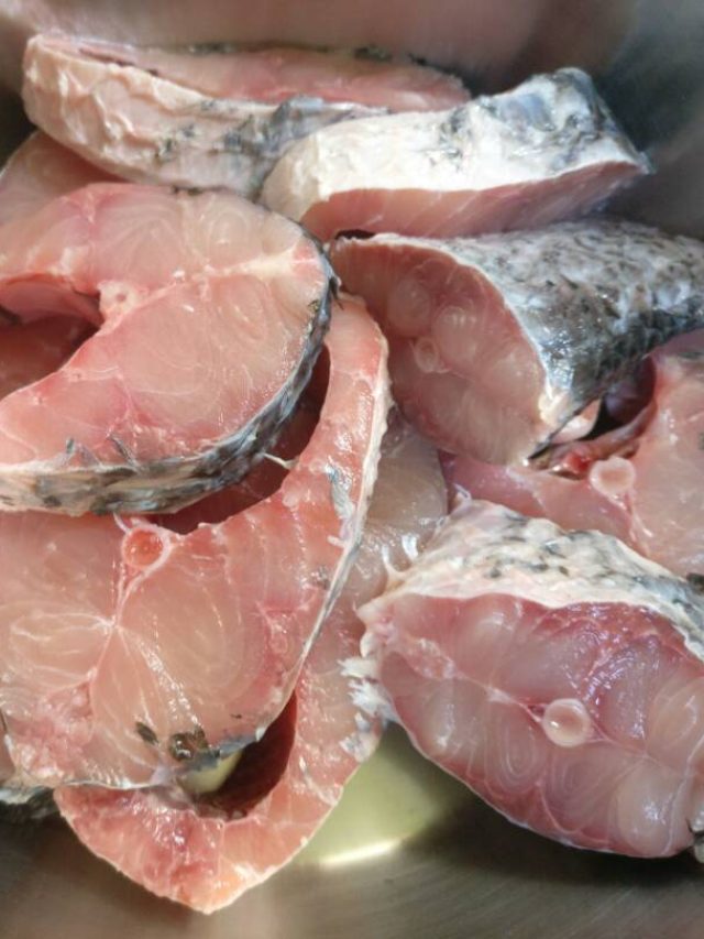 বুদ্ধি বাড়বেই-স্মৃতিশক্তিও হবে মজবুত, নিয়মিত খেলে এই ৫ মাছ