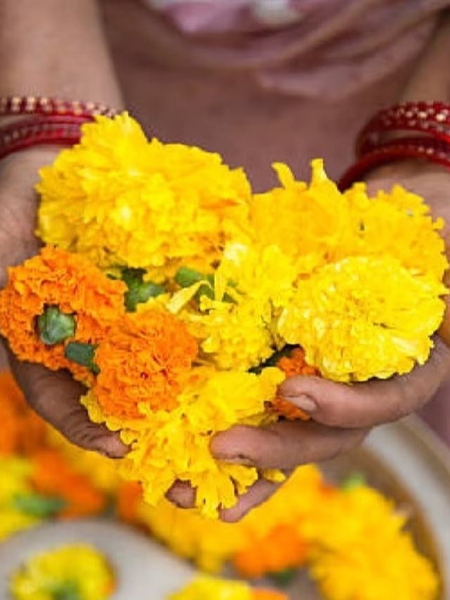 হিন্দু ধর্মে ফুল ছাড়া পুজো সম্পন্ন হয় না! কেন জানেন?