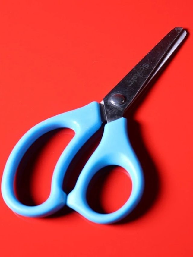 ভোঁতা কাঁচি ধার হবে নিমেষে, তীক্ষ্ণ করার সহজ ট্রিকস