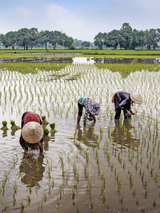पीएम किसान योजना का लेना है लाभ? ये है रजिस्ट्रेशन का प्रोसेस