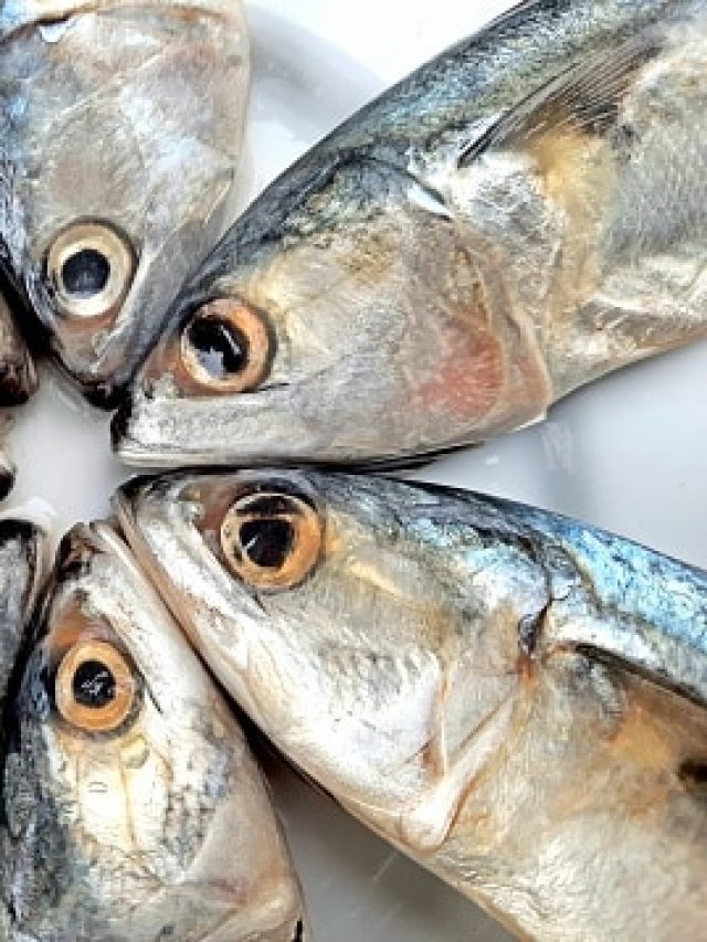 রোজ খান মাছের এই অংশ, বুদ্ধিতে সকলকে টেক্কা দেবেন