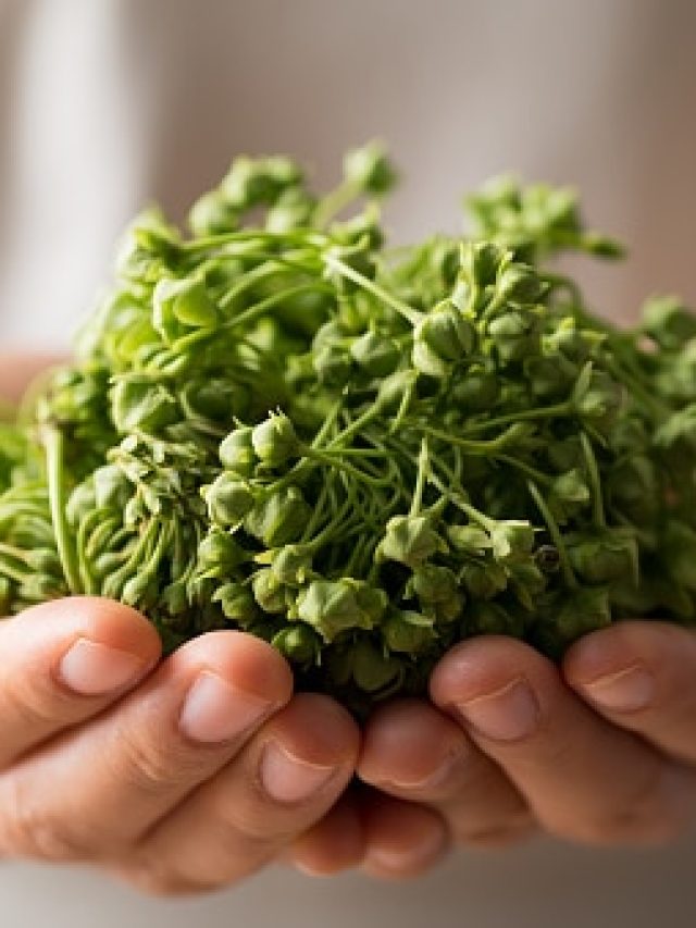 বুড়ো হলেও বাড়বে পুরুষত্ব, খেতে হবে এই ফুলের চচ্চড়ি