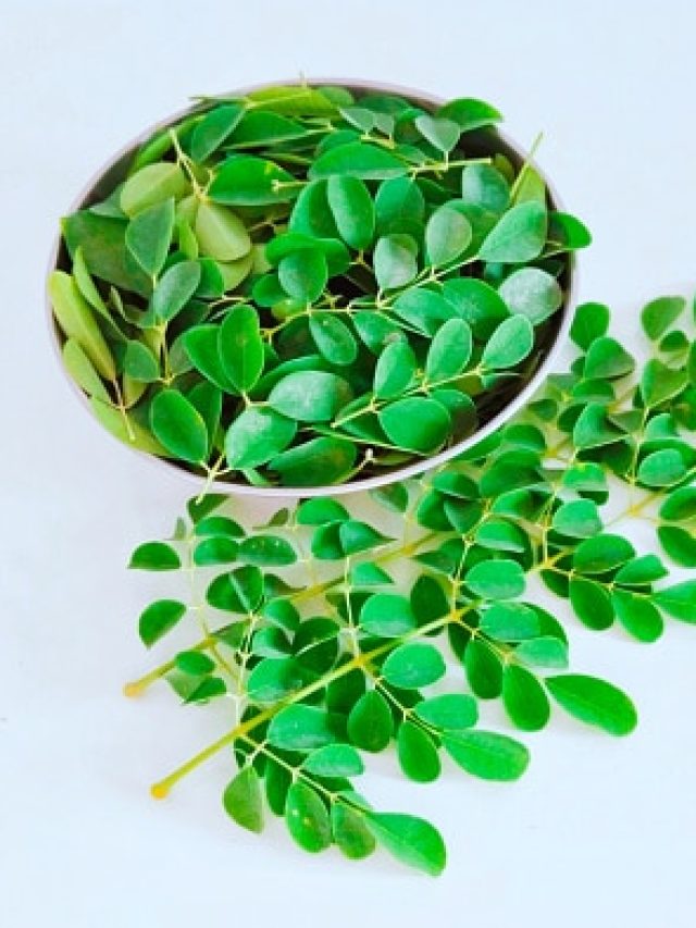 আমরণ যৌবন হারাবেন না, রোজ চিবিয়ে খান এই পাতা