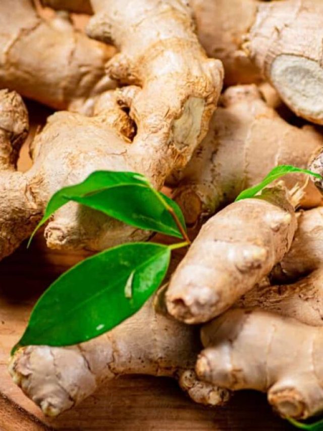 বাড়ির টবেই হবে আদা, আর বাজার থেকে কিনতে হবে না; পদ্ধতি