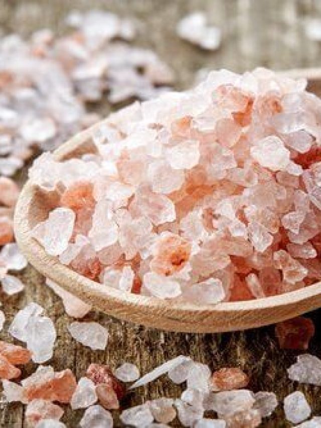 প্যাকেটের নুন ছাড়ুন, সৈন্ধব লবণেই খেলা শুরু