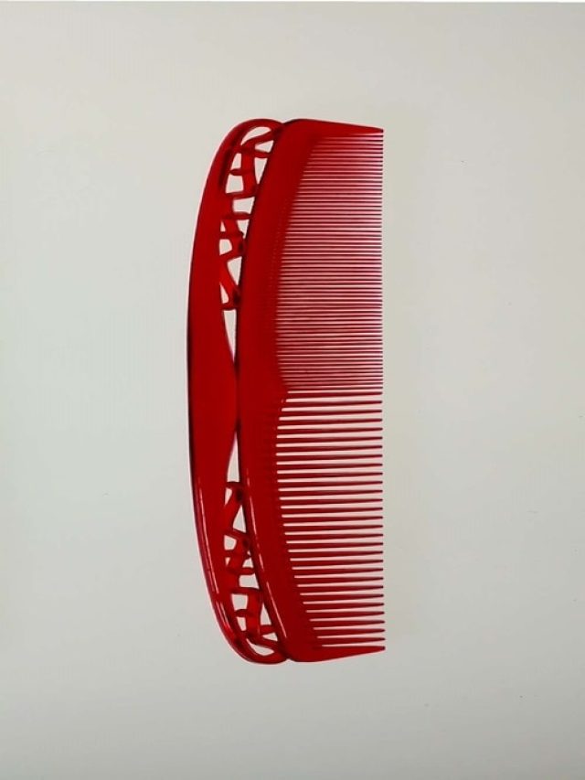 ঘরের ময়লা সাফ হবে চিরুনির এক ঘষাতেই, টেকনিক শিখে নিন