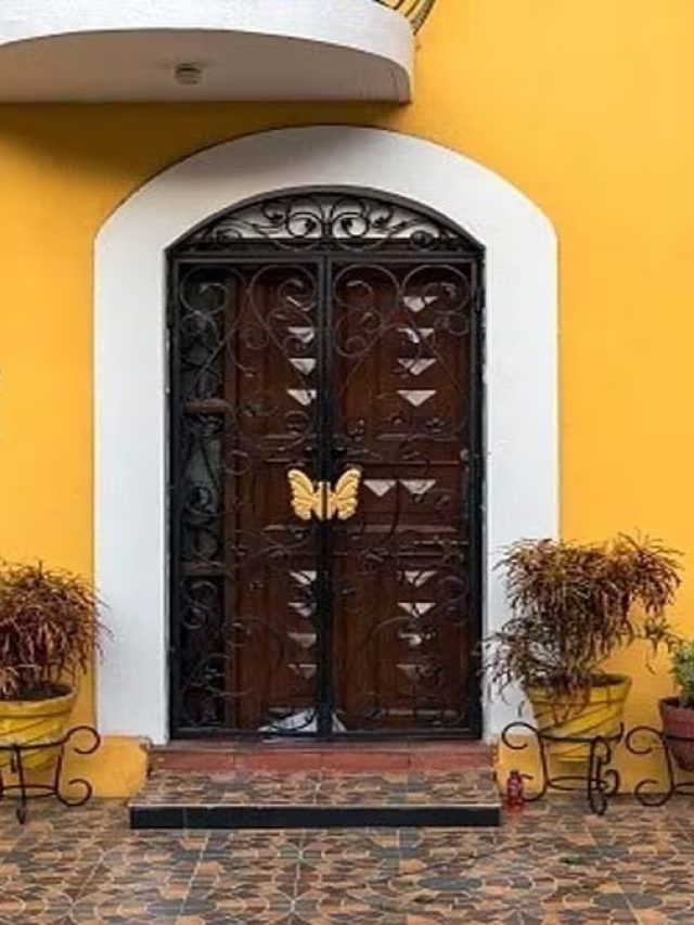 মেনগেটের পাশে রাখুন এই জিনিস, বাড়িতে ঢুকতেই পারবে না শত্রু