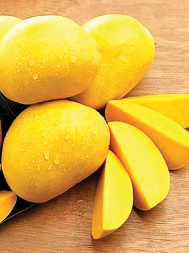 সিজন শেষ হওয়ার আগেই এভাবে রাখুন পাকা আম, শীতকালেও খেতে পারবেন