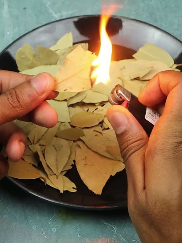 রাতে রান্নাঘরে পোড়ান একটা তেজপাতা, ব্যাস! তাতেই খেলা শেষ