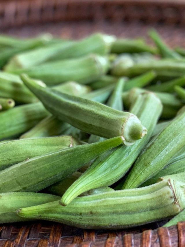 এক কিলো ঢেঁড়শ টাটকা থাকবে ৩-৪ দিন, মা-কাকিমাদের মোক্ষম টিপস