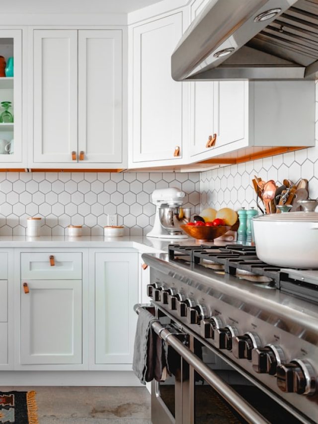 রান্নাঘরে থাকবে না একটাও পোকামাকড়, ৩ হ্যাকেই করুন বাজিমাত